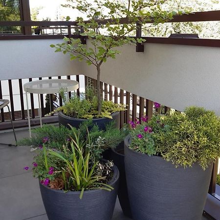 4Four Apartment, Villa Moderno, Taras, Parking Podziemny Stary Toruń Buitenkant foto